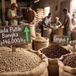 Ilustrasi aktivitas transaksi jual beli komoditas perkebunan dan dinamika harga di tingkat pasar.