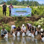 Jajaran Pimpinan PTPN IV PalmCo melalui Regional III menebar 60.000 bibit ikan baung dan nila di 12 sungai