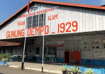 Pabrik Teh Gunung Dempo - Pagar Alam