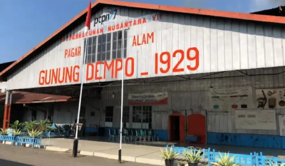 Pabrik Teh Gunung Dempo - Pagar Alam